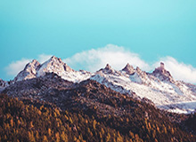 九游-上港被淘汰真不冤！全赛季磕磕绊绊 顽疾一直不改